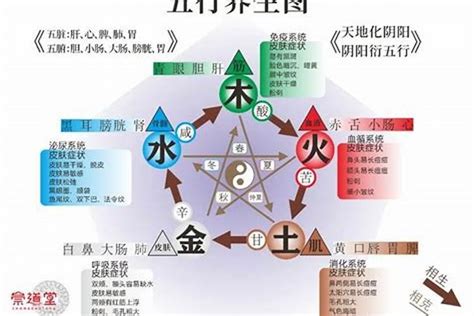 五行屬水缺木|八字命理:五行缺木怎麼辦！看看你的該怎麼化解？